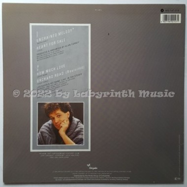 Leo Sayer - Unchained Melody • 12" Vinyl Maxi • MINT - Labyrinth Music