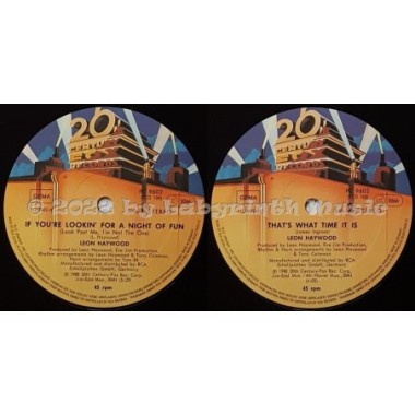 Leon Haywood - If You're Looking For A Night Of Fun • 12" Vinyl Maxi - Labyrinth Music