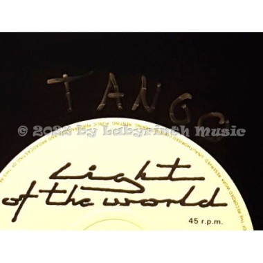 Light Of The World - Jealous Lover • 12" Vinyl Maxi - Labyrinth Music