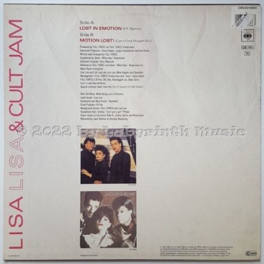 Lisa Lisa & Cult Jam - Lost In Emotion • 12" Vinyl Maxi • MINT - Labyrinth Music
