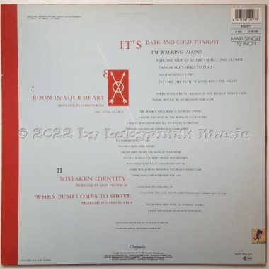 Living In A Box - Room In Your Heart • 12" Vinyl Maxi - Labyrinth Music