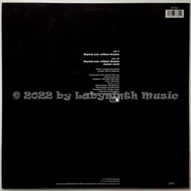 Lonnie Gordon - Beyond Your Wildest Dreams • 12" Vinyl Maxi • MINT - Labyrinth Music