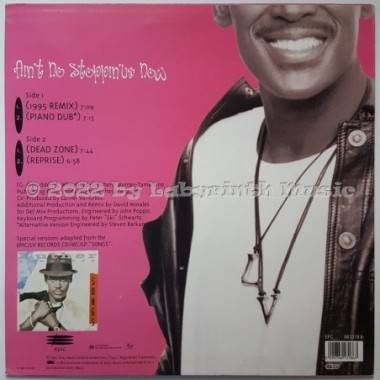Luther Vandross - Ain't No Stoppin' Us Now • 12" Vinyl Maxi - Labyrinth Music