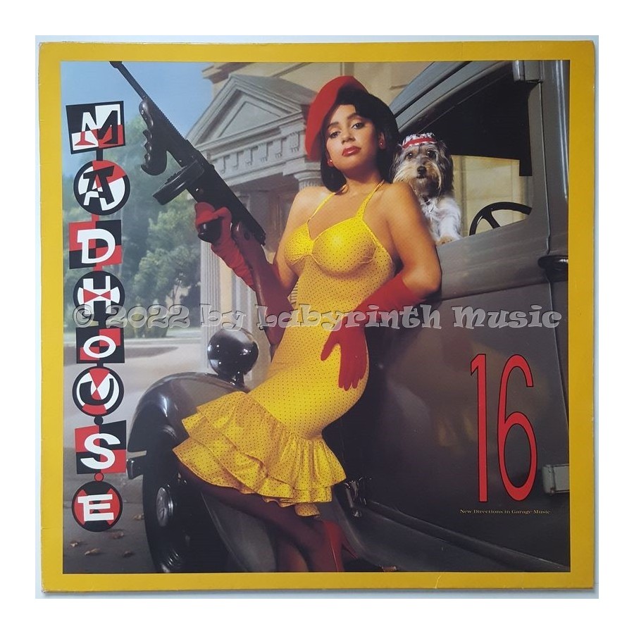 Madhouse - 16 • New Directions In Garage Music • 12" Vinyl LP - Labyrinth Music
