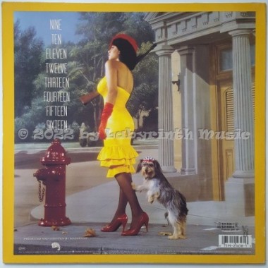 Madhouse - 16 • New Directions In Garage Music • 12" Vinyl LP - Labyrinth Music