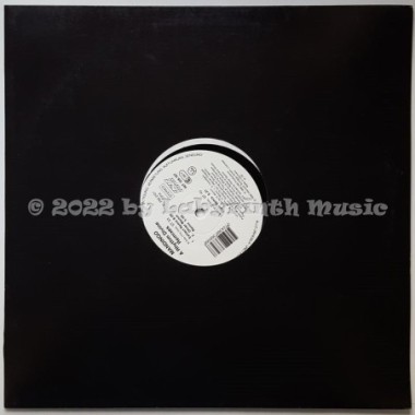 Mandingo - A Rhythm Divine • Remixes • 12" Vinyl Maxi • MINT - Labyrinth Music