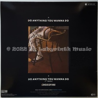 Manfred Mann's Earth Band With Chris Thompson - Do Anything You Wanna Do • 12" Vinyl Maxi • MINT - Labyrinth Music