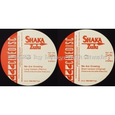 Margaret Singana - We Are Growing • 12" Vinyl Maxi • MINT - Labyrinth Music