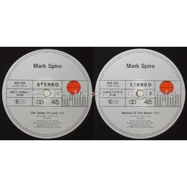 Mark Spiro - The Valley Of Love • 12" Vinyl Maxi • EX - Labyrinth Music