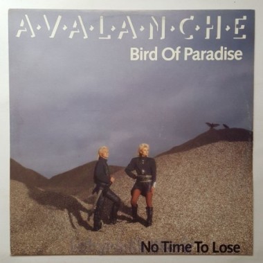 Avalanche - Bird Of Paradise